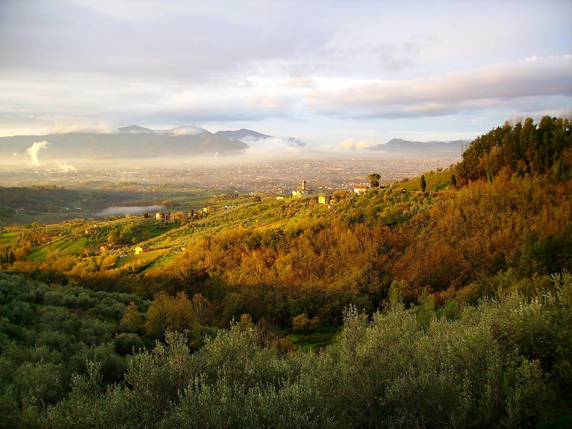 Fattoria Gambaro Di Petrognano Villa Collodi Eksteriør bilde