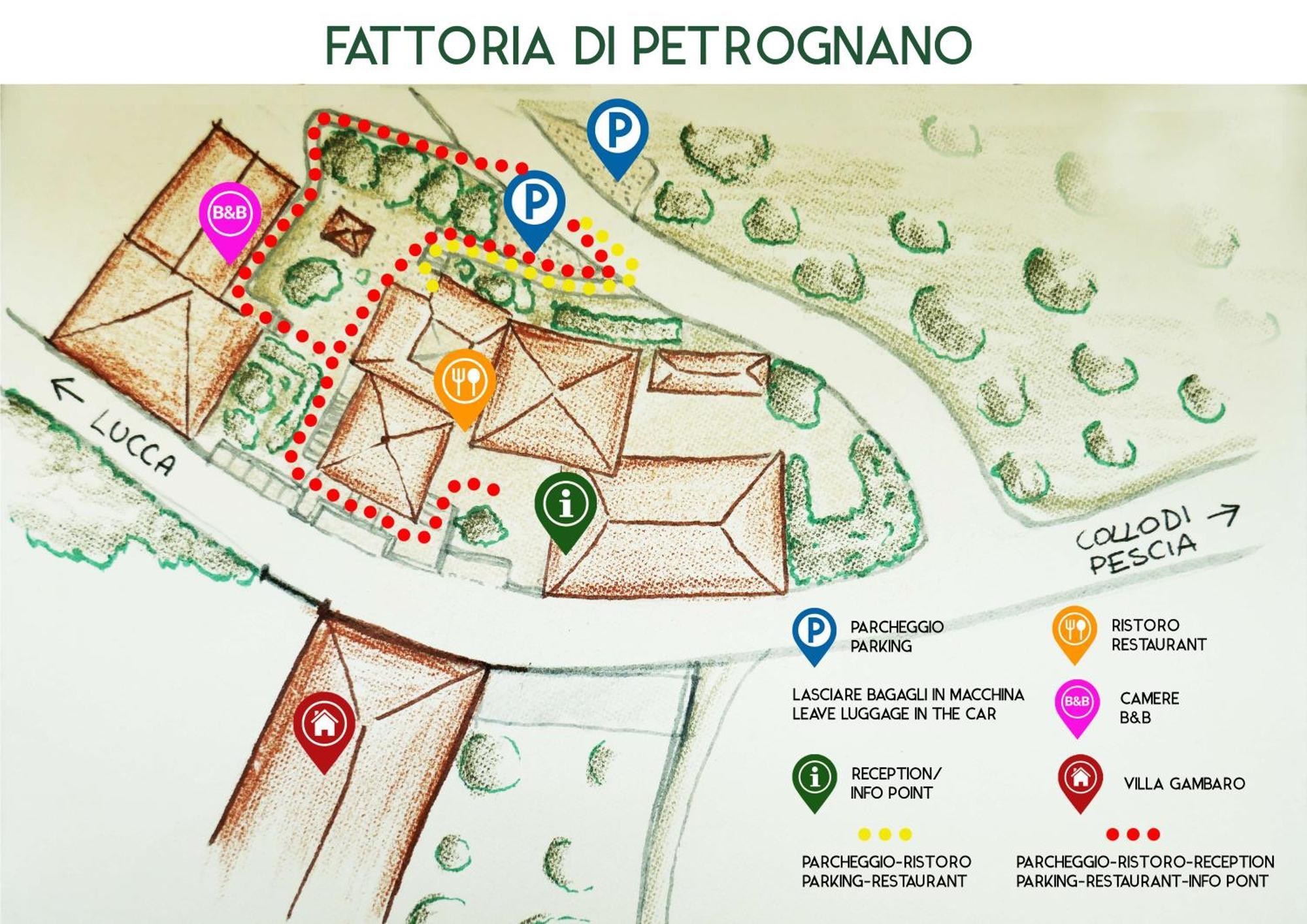 Fattoria Gambaro Di Petrognano Villa Collodi Eksteriør bilde