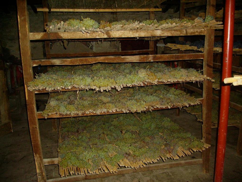 Fattoria Gambaro Di Petrognano Villa Collodi Eksteriør bilde