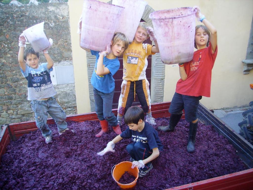 Fattoria Gambaro Di Petrognano Villa Collodi Eksteriør bilde